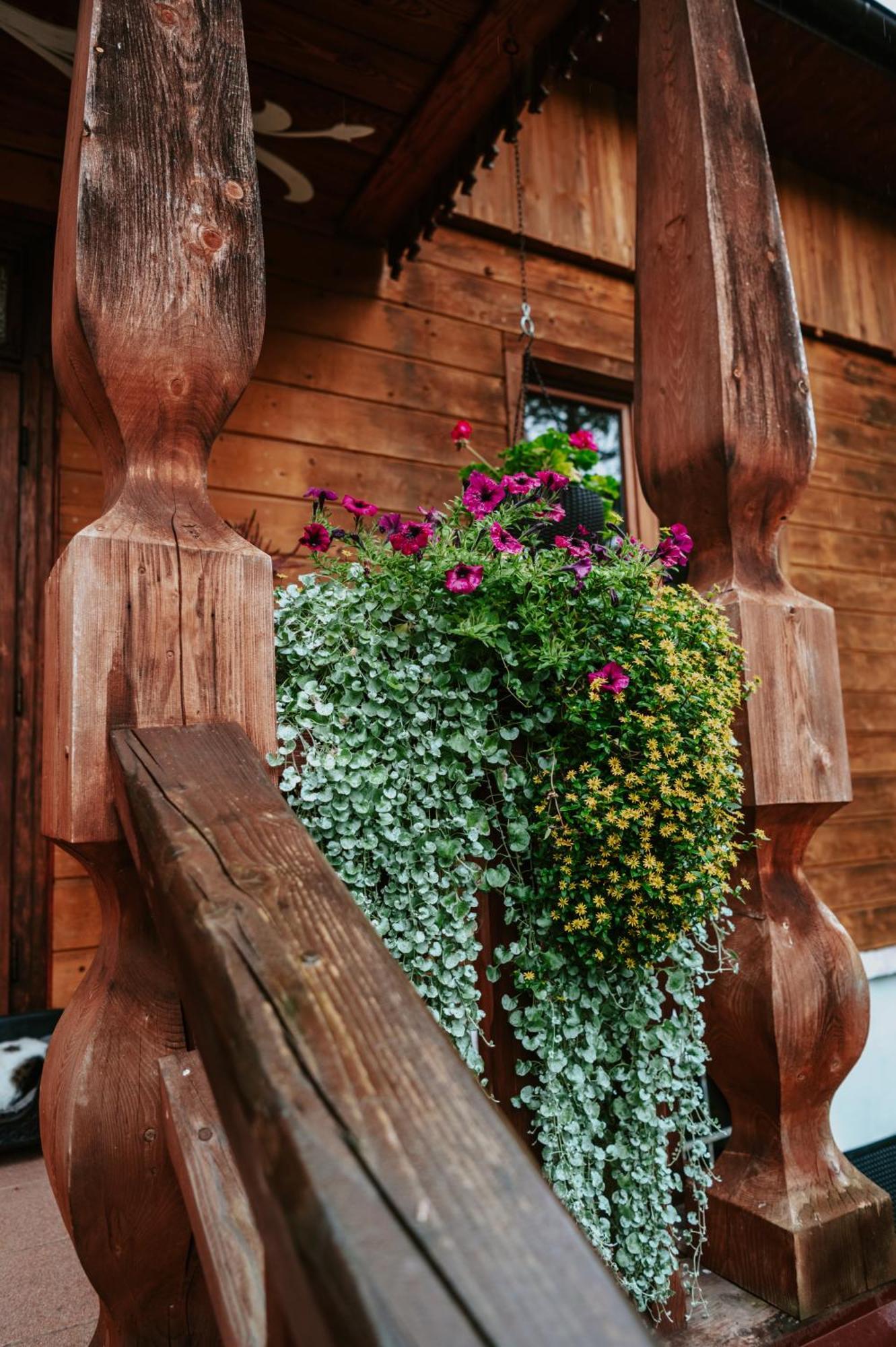 Cisowka Pokoje Goscinne Piwniczna-Zdroj Buitenkant foto